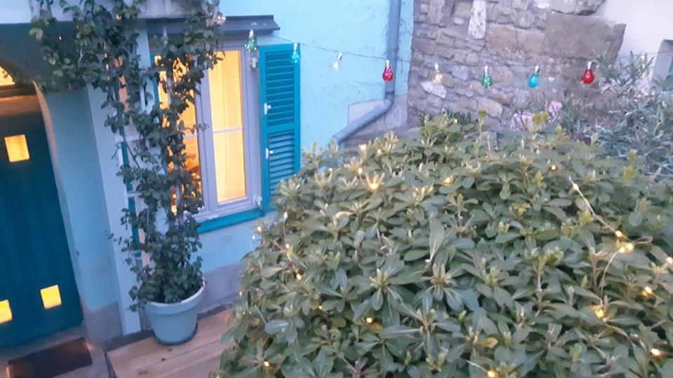 Little Garden Lägenhet Piran Exteriör bild